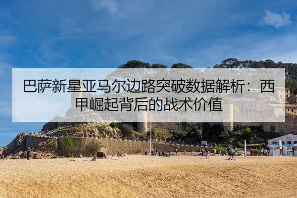ba-sa-xin-xing-ya-ma-er-bian-lu-tu-po-shu-ju-jie-xi-xi-jia-jue-qi-bei-hou-de-zhan-shu-jia-zhi-2-535.jpg