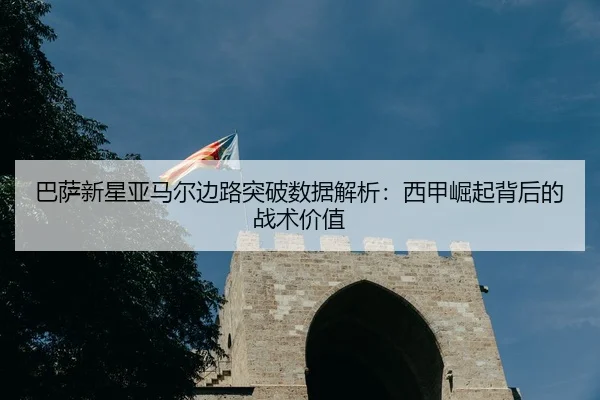 ba-sa-xin-xing-ya-ma-er-bian-lu-tu-po-shu-ju-jie-xi-xi-jia-jue-qi-bei-hou-de-zhan-shu-jia-zhi-3-288.jpg