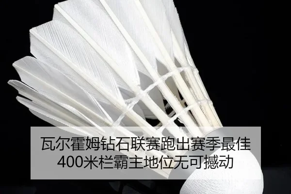wa-er-huo-mu-zuan-shi-lian-sai-pao-chu-sai-ji-zui-jia-mi-lan-ba-zhu-di-wei-wu-ke-han-dong-2-776.jpg