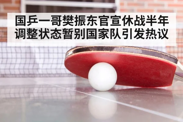 国乒一哥樊振东官宣休战半年调整状态暂别国家队引发热议